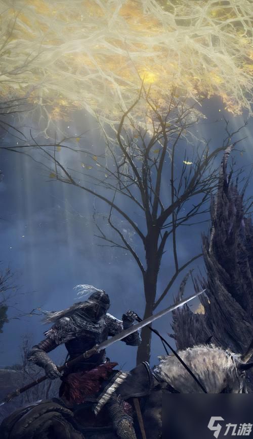 《艾尔登法环夜与火之剑属性优缺点分析》（深入解析游戏中的属性对战）