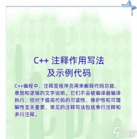 文本代码使用方法及常见问题