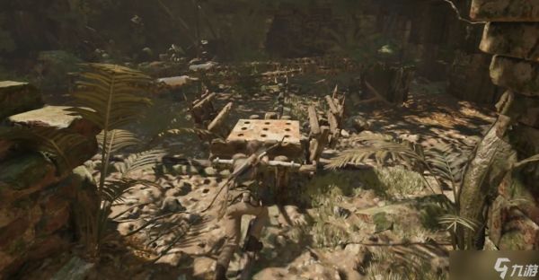 古墓丽影秘鲁丛林古墓怎么玩