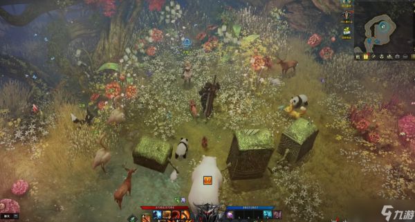 失落的方舟妮娜芙在哪