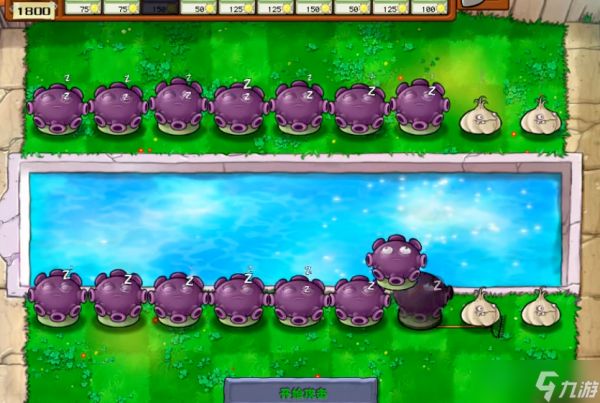 植物大战僵尸坚不可摧怎么打