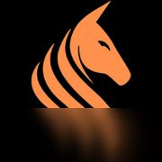 Kolosha 将替补 NAVI 战队的 Ruxic 出战 EMEA Clash 赛事