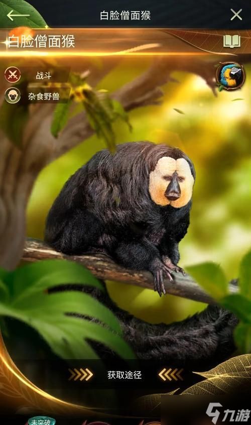 角色猴子的获取途径是什么？