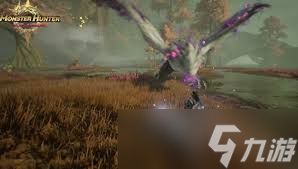 怪物猎人旅人国服火龙厉害吗