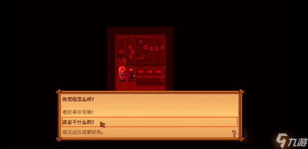 星露谷物语海莉的暗室怎么选