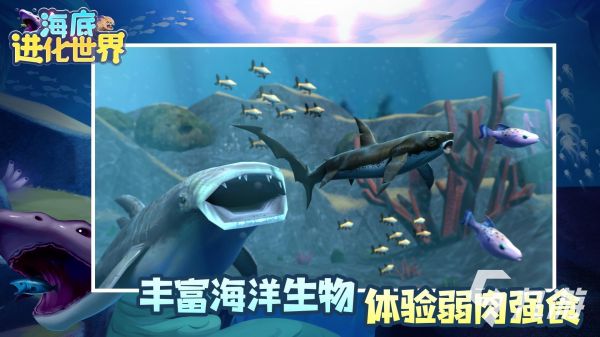 大鱼吃小鱼游戏单机版有哪些 有意思的大鱼吃小鱼游戏汇总2026