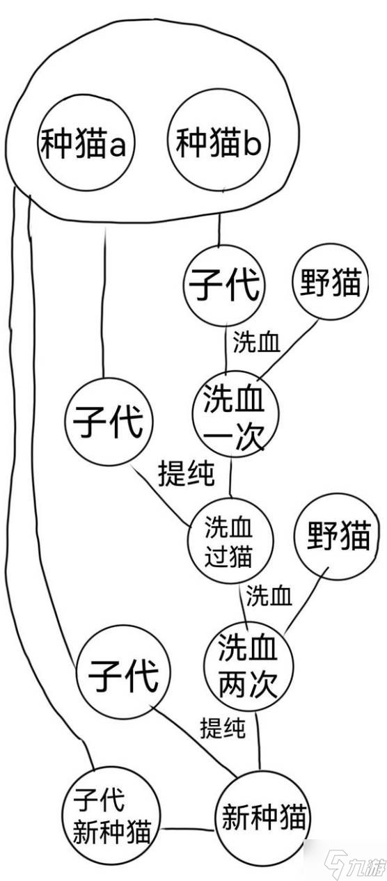 《喵喵的结合》稳定中低近亲育种方法