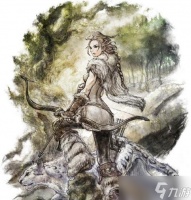 《八方旅人》海茵特猎人职业技能详解 掌握海茵特战斗技能