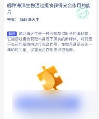 哪种海洋生物能通过摄食获得光合作用能力