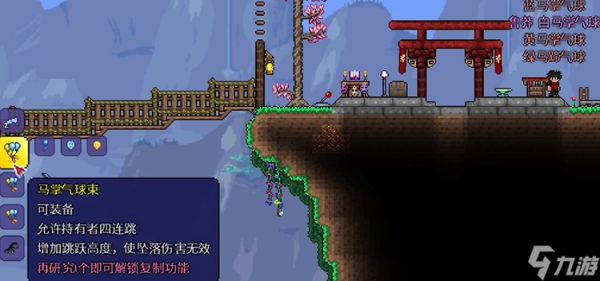 泰拉瑞亚最好的配饰是什么