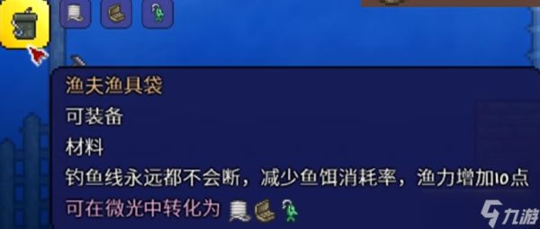 泰拉瑞亚最好的配饰是什么