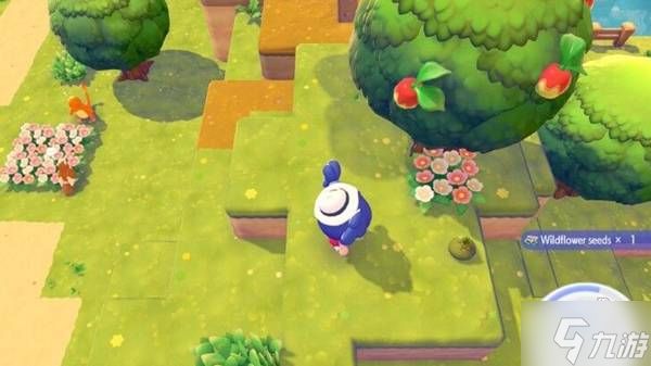 《宝可梦Pokopia》种田玩法说明 宝可梦Pokopia怎么种田