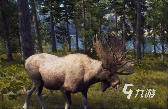 受欢迎的猎人游戏有哪些2026热门的猎人手游排名