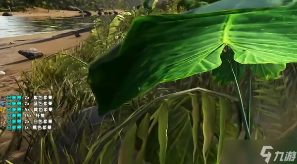 方舟生存进化萌新生存技巧有哪些