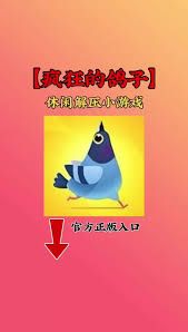 疯狂的鸽子第八关通关方法