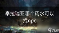 泰拉瑞亚哪个药水可以找npc