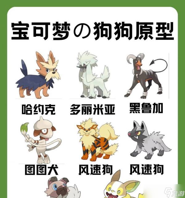 宝藏世界宠物类型分析（选择合适的宠物类型）