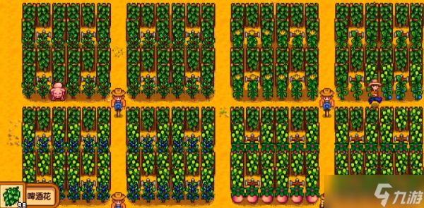 星露谷物语技巧心得有哪些