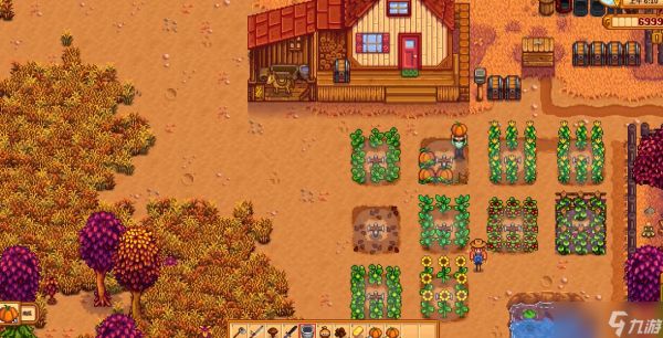 星露谷物语半夜仙女有什么用