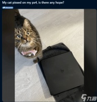猫咪在PS4上尿了 网友崩溃求助 还有救吗
