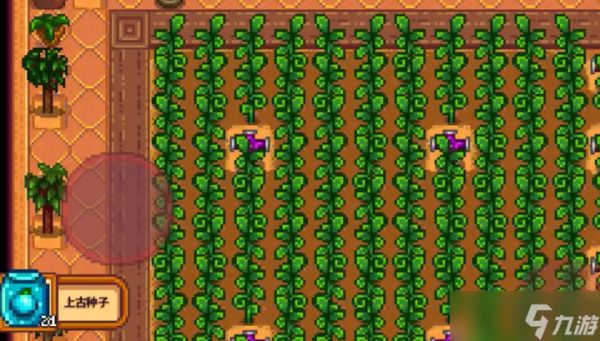 星露谷物语什么酿酒收益高