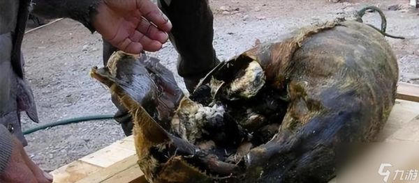 巨蟒副刀雷如何有效使用?