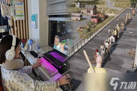 帮癌末妻子圆梦!韩国丈夫在《绝地求生》社群求助