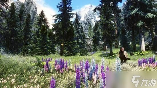 陶德奇葩言论：B社每款游戏都可视为彼此的“续作”