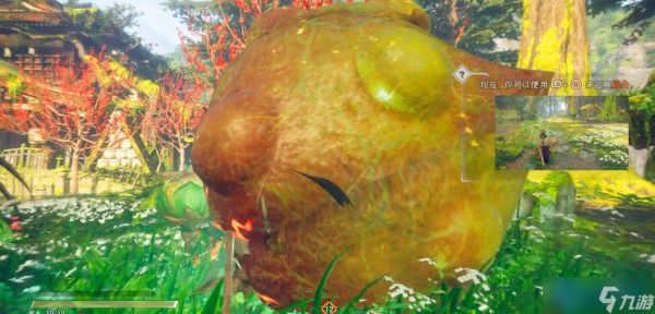 花宿攻略:萌新首战大型怪的必胜指南