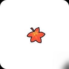 青蛙的梦幻乐园公测时间是什么时候