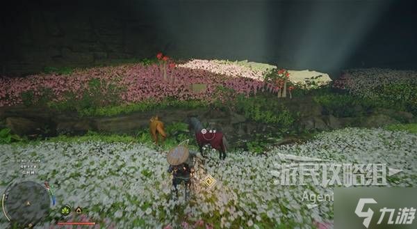 《红色沙漠》全传说马匹获得方法 传说马位置