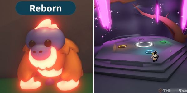 Roblox: Adopt Me! 代码与指南中心