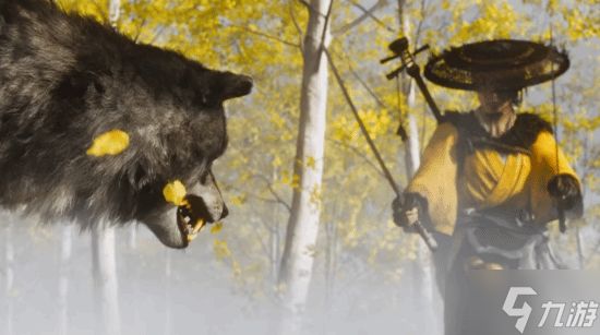 超级大捡漏!玩家晒93美元拿下《黑神话:悟空》+《羊蹄山之魂》等四款大作