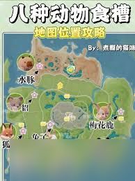 心动小镇兔子位置在哪