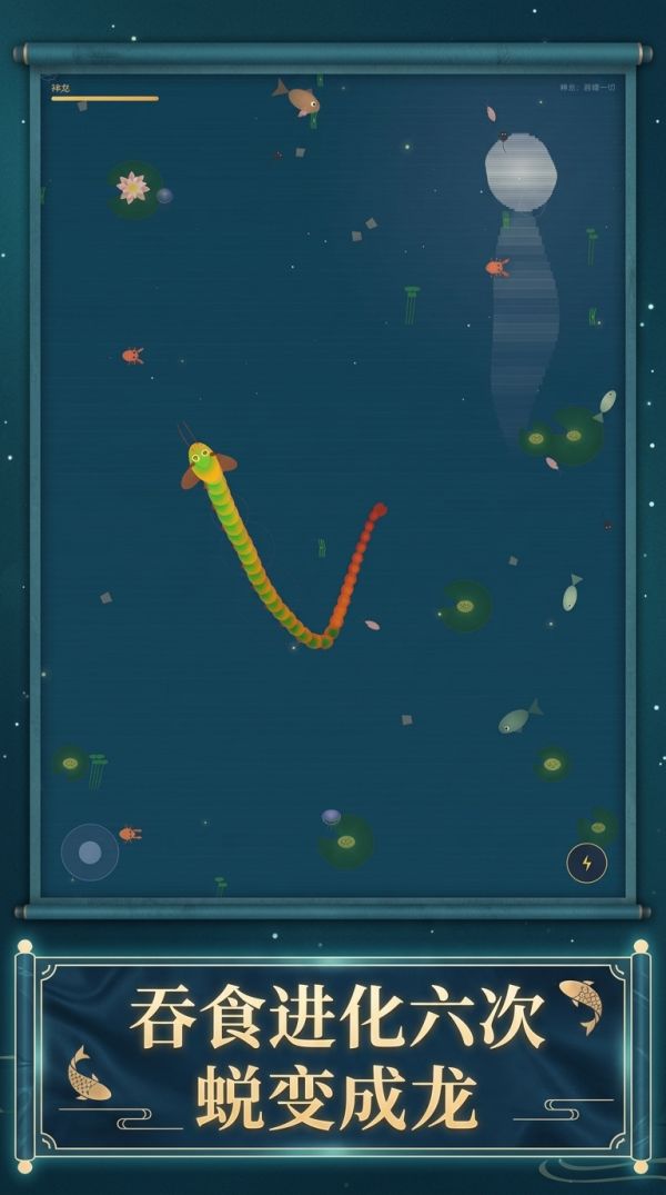 禅意锦鲤什么时候出 公测上线时间预告