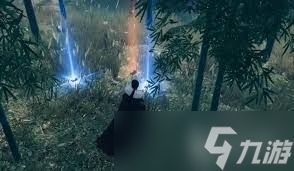 下一站江湖2荒漠之花任务怎么做