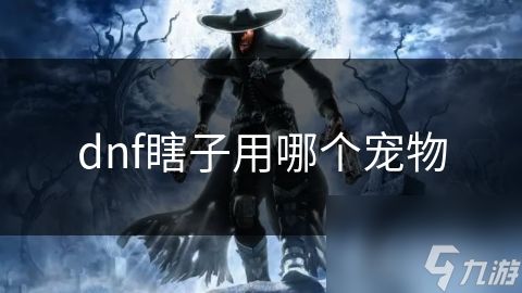 dnf瞎子用哪个宠物