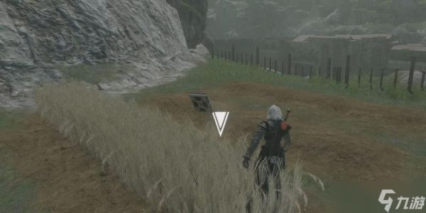 《尼尔人工生命升级版沙之神殿》攻略指南（探索沙之神殿）