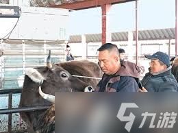 牲畜经纪人属于哪个职业的新增工种