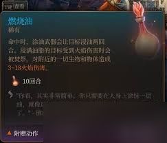 博德之门3常见消耗品效果怎么样