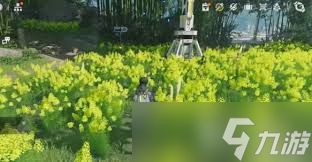 明日方舟终末地热烈色彩效果如何