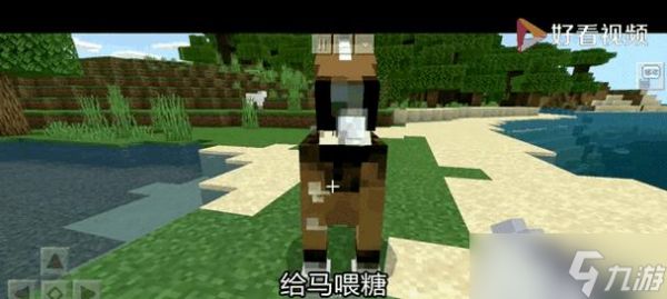 我的世界中马的驯化方法是什么?