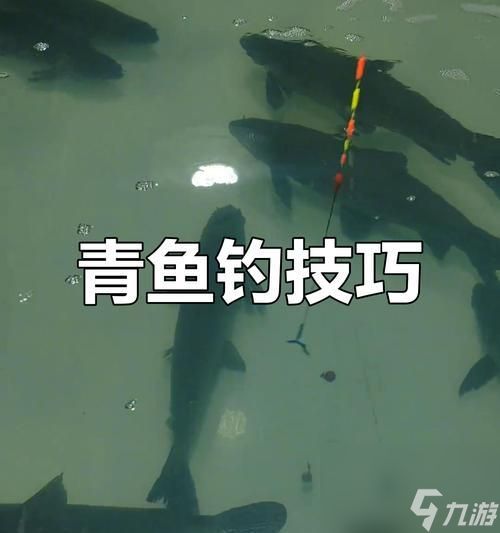 《小森生活》青鱼钓鱼攻略（快速钓到大量青鱼的技巧与地点）