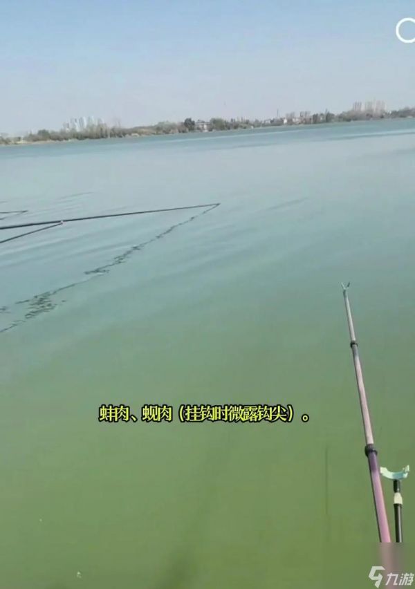 《小森生活》青鱼钓鱼攻略（快速钓到大量青鱼的技巧与地点）