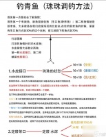 《小森生活》青鱼钓鱼攻略 快速钓到大量青鱼的技巧与地点