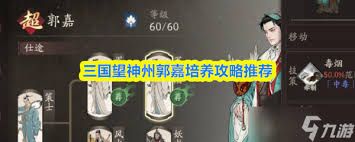 三国望神州郭嘉如何搭配队伍