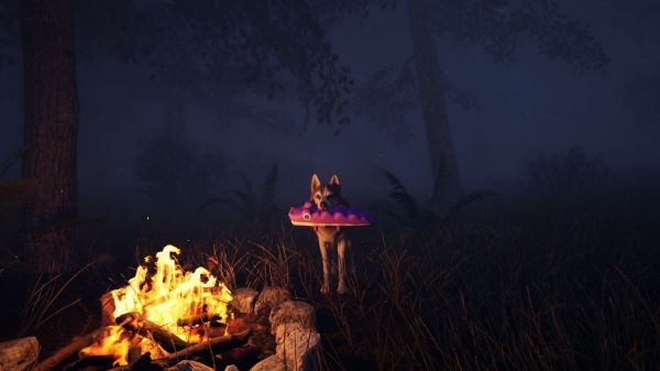 良犬:追影什么时候出 公测上线时间预告