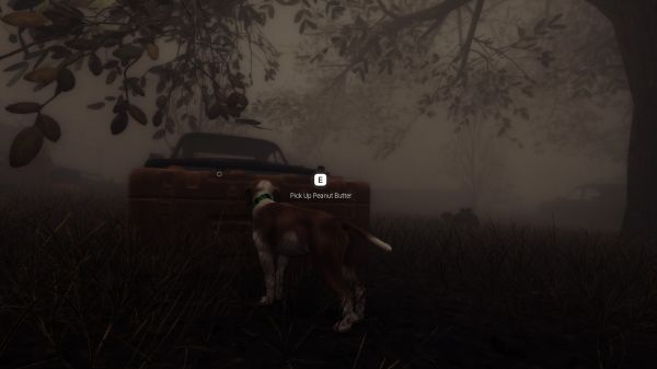 良犬:追影什么时候出 公测上线时间预告