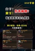 地下城轴体装备选择指南是什么