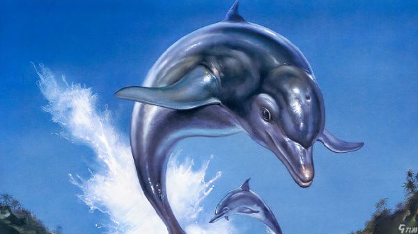 Xbox新任CEO暗示将与Discord达成某种合作